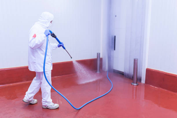 Best House Exterior Washing  in Glendale, OH